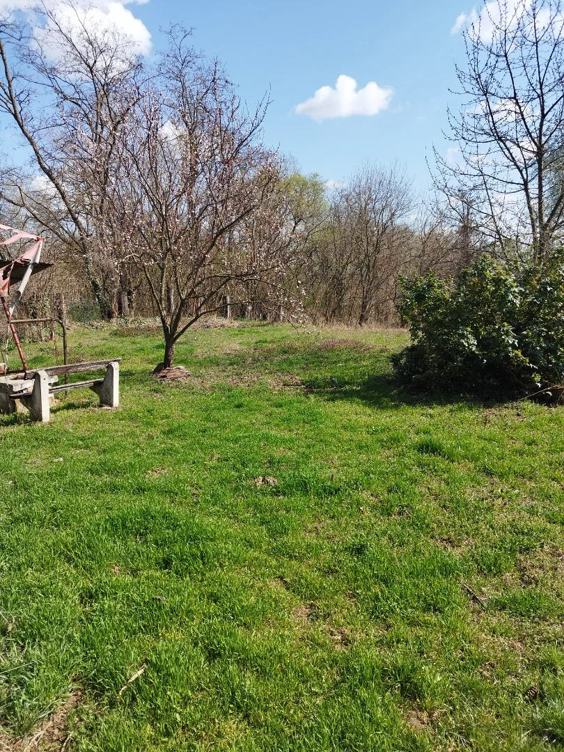 Eladó mezőgazdasági telek Szolnokon - Kép 3