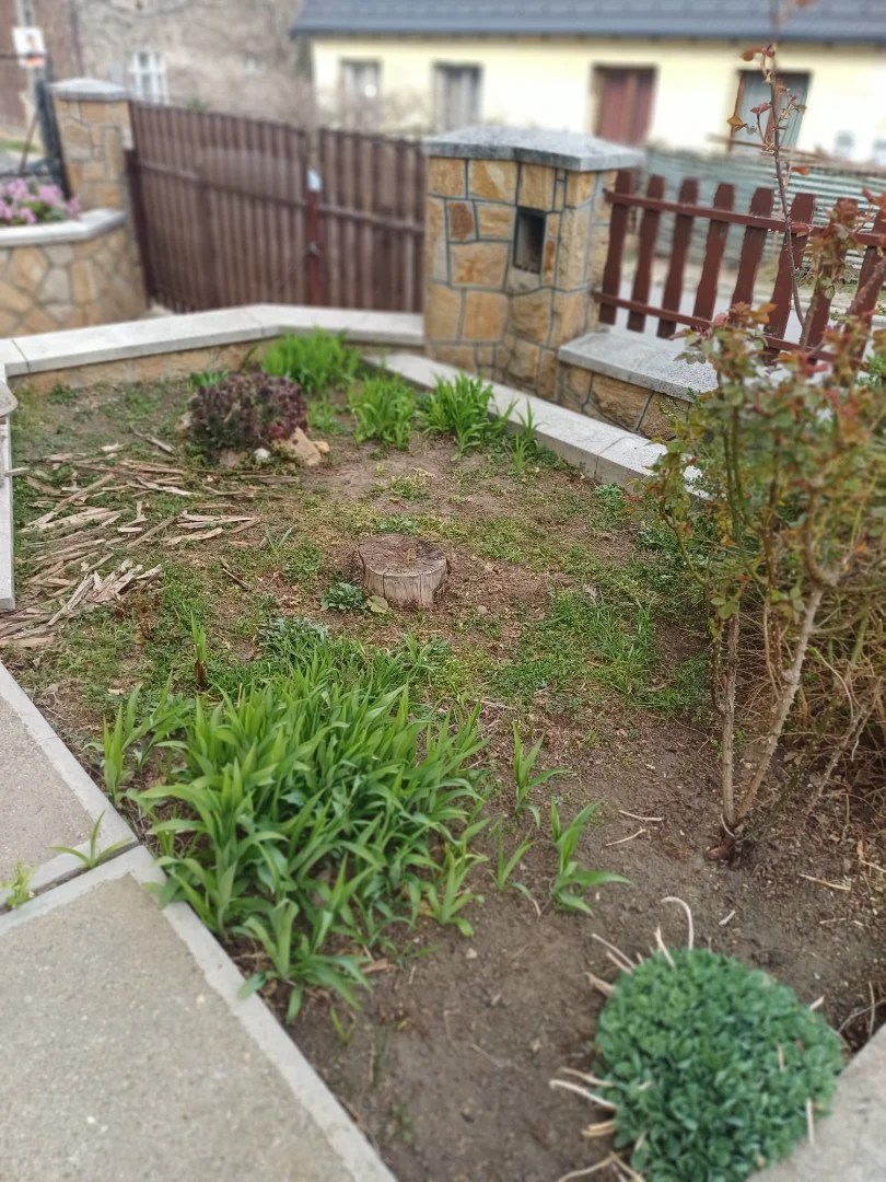 Eladó családi ház Pécelen - Kép 9