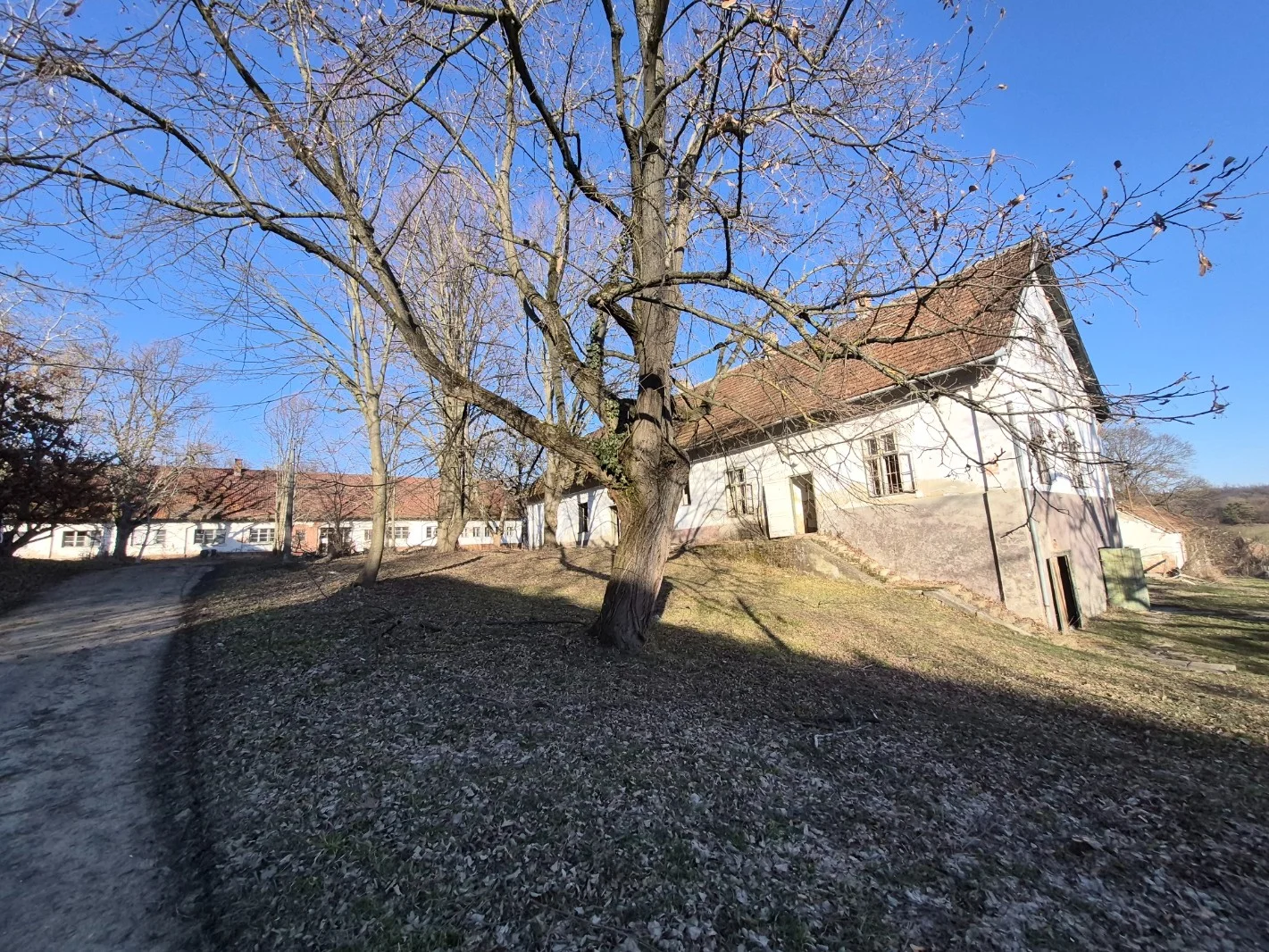 Eladó intézmény iroda / üzlet / kereskedelmi / szolgáltató Bakócan - Kép 18