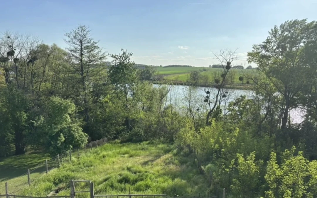 Eladó családi ház Kisbér Újszőlő - Kép 9