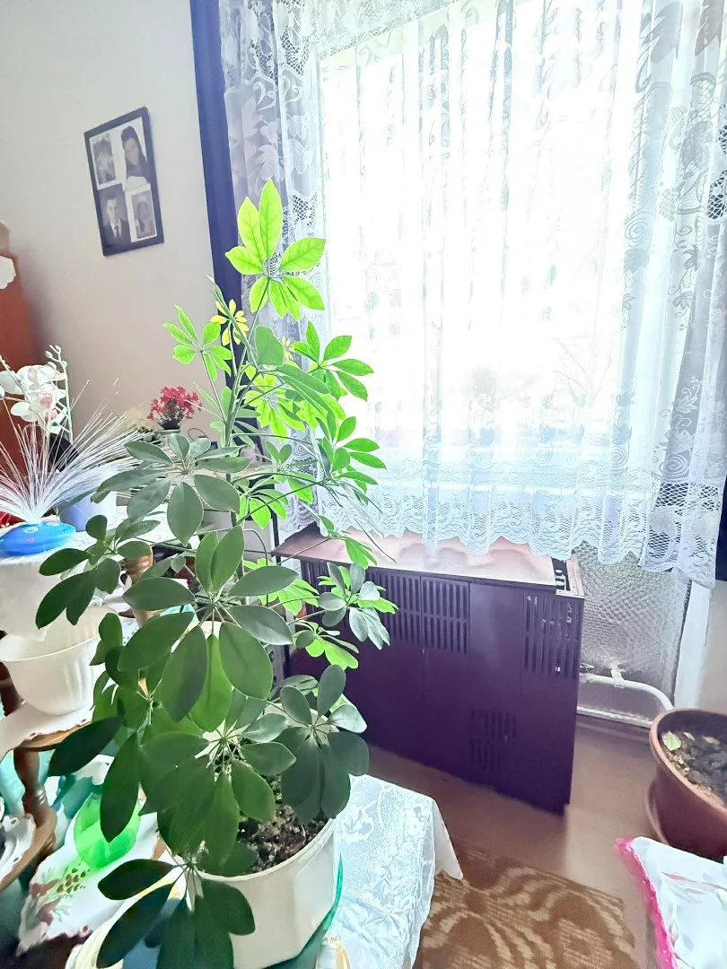 Eladó tégla lakás Kazincbarcikan - Kép 13