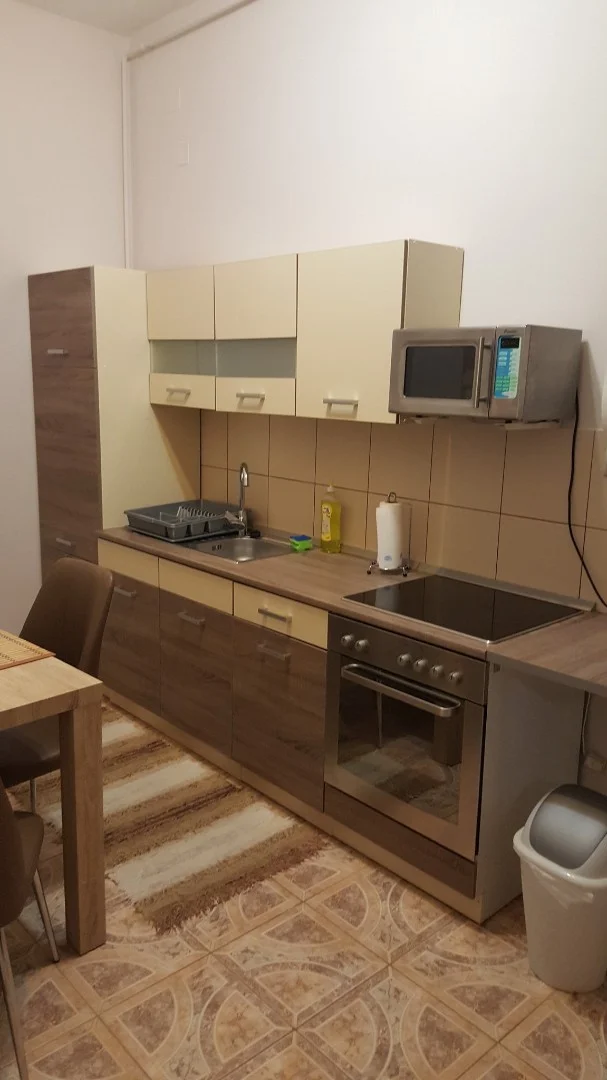 Kiadó tégla lakás Pécsen - Kép 2