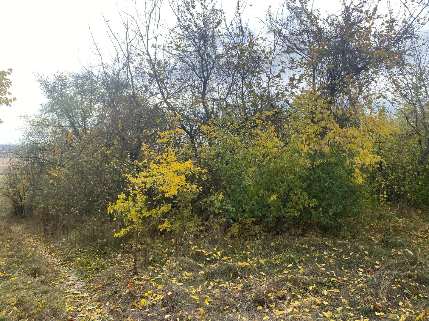 Eladó építési telek Tatan - Kép 2