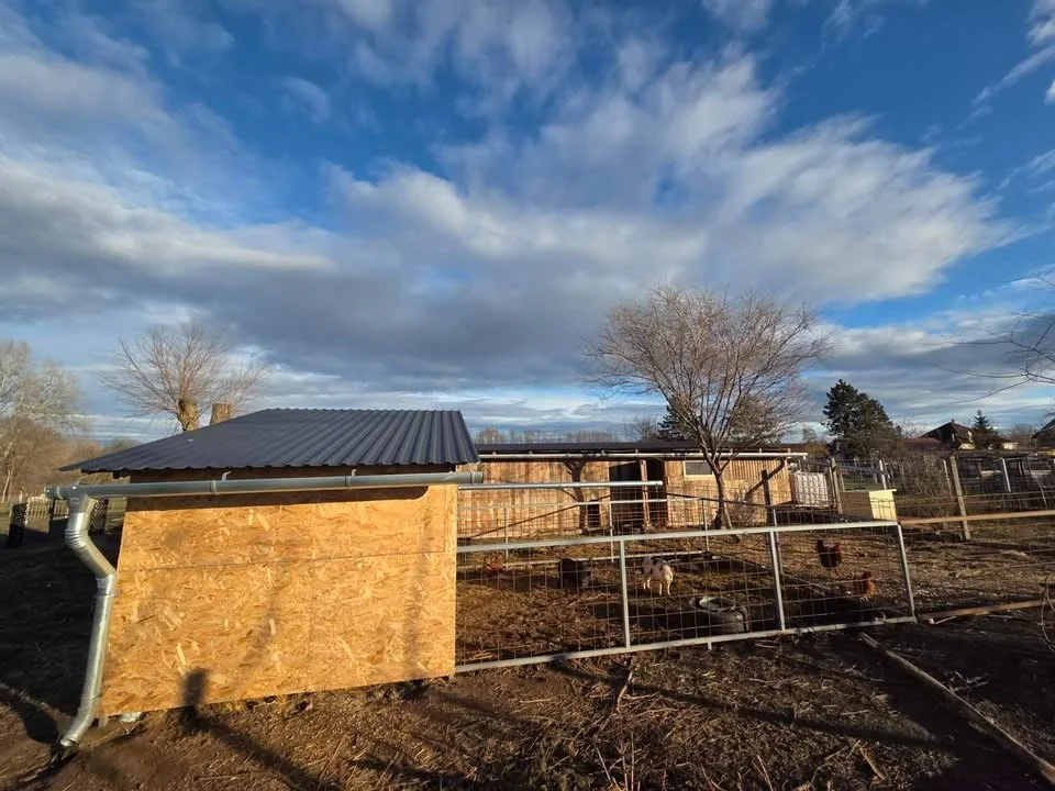 Eladó családi ház Kókan - Kép 8