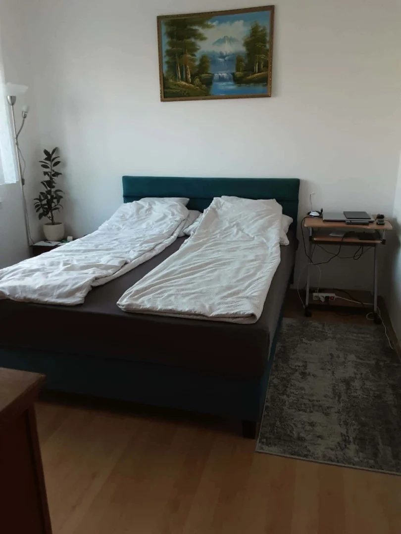 Eladó panel lakás Székesfehérvár Tóvárosi Ln - Kép 5
