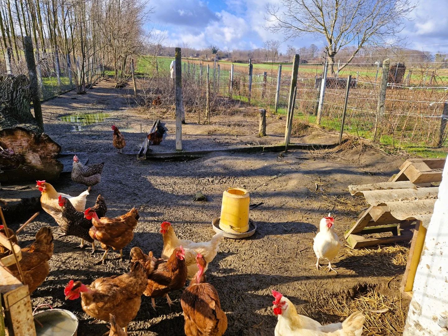 Eladó családi ház Kéthelyen - Kép 8