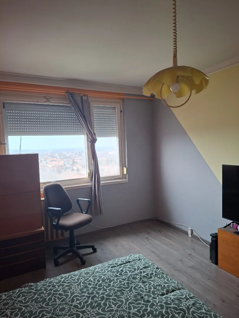 Eladó panel lakás Hódmezővásárhelyen - Kép 4