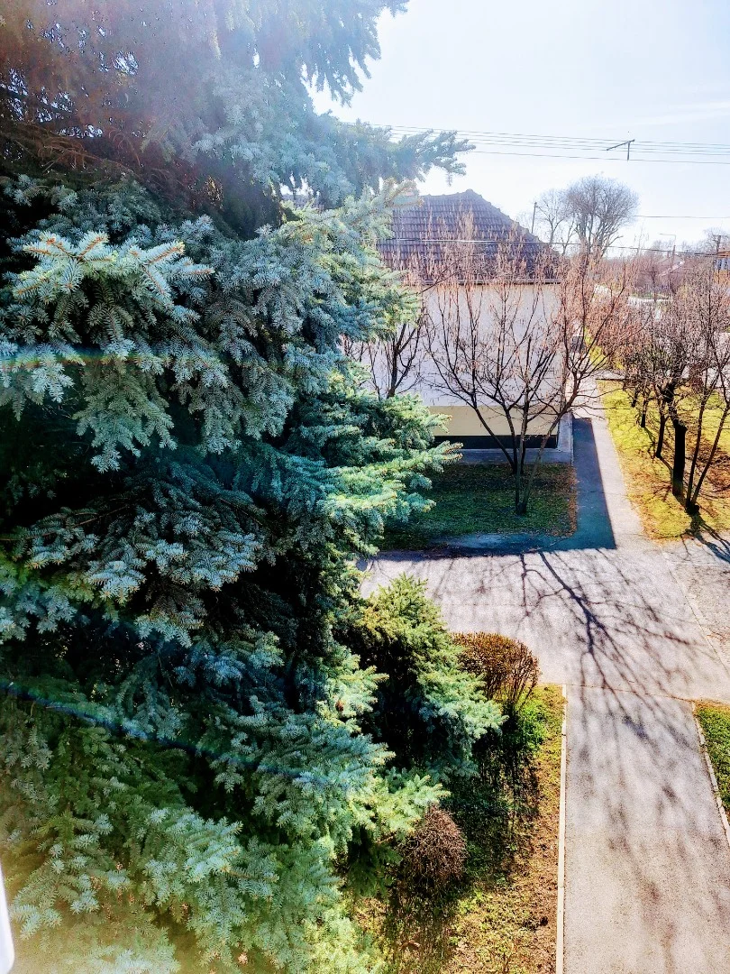 Kiadó tégla lakás Békéscsabán - Kép 10