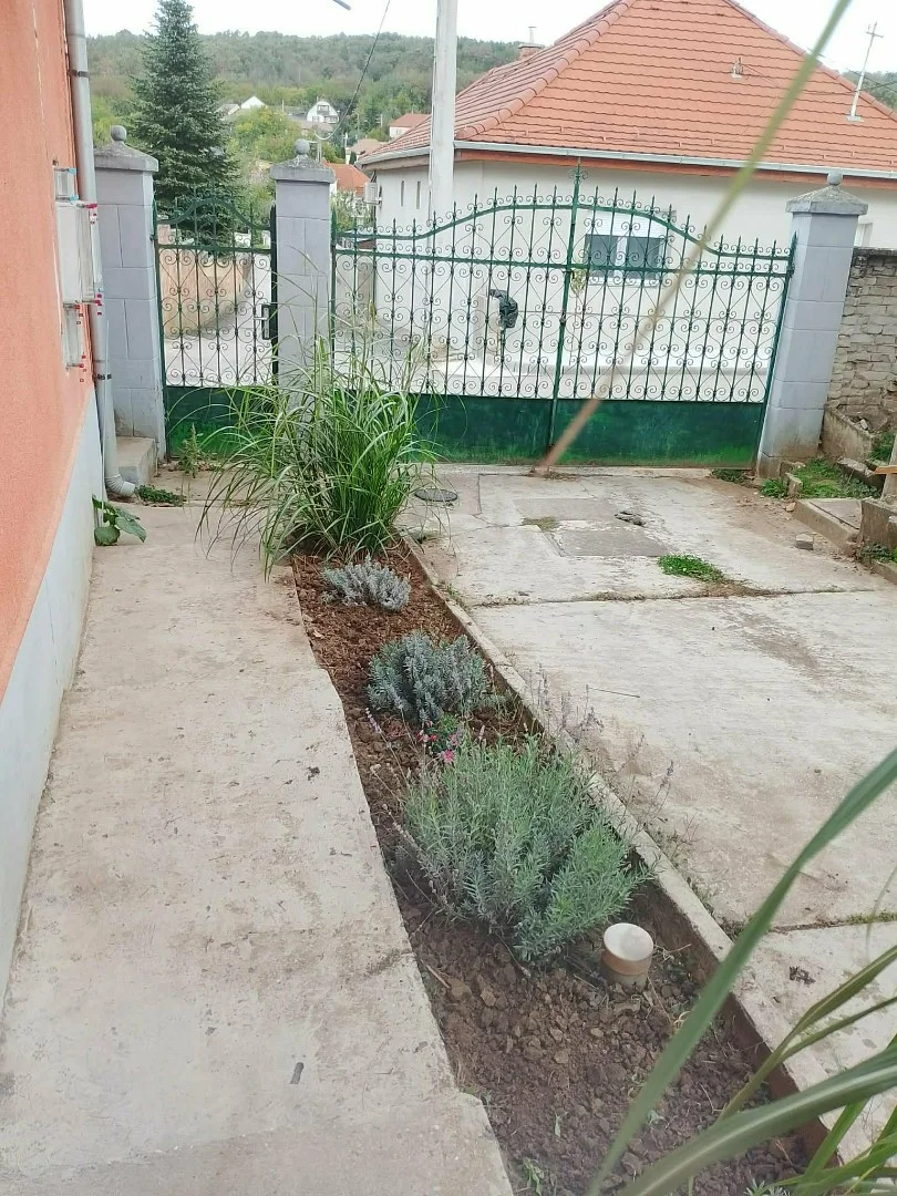 Eladó családi ház Püspökszilágy Táncsics Mihály utca - Kép 2
