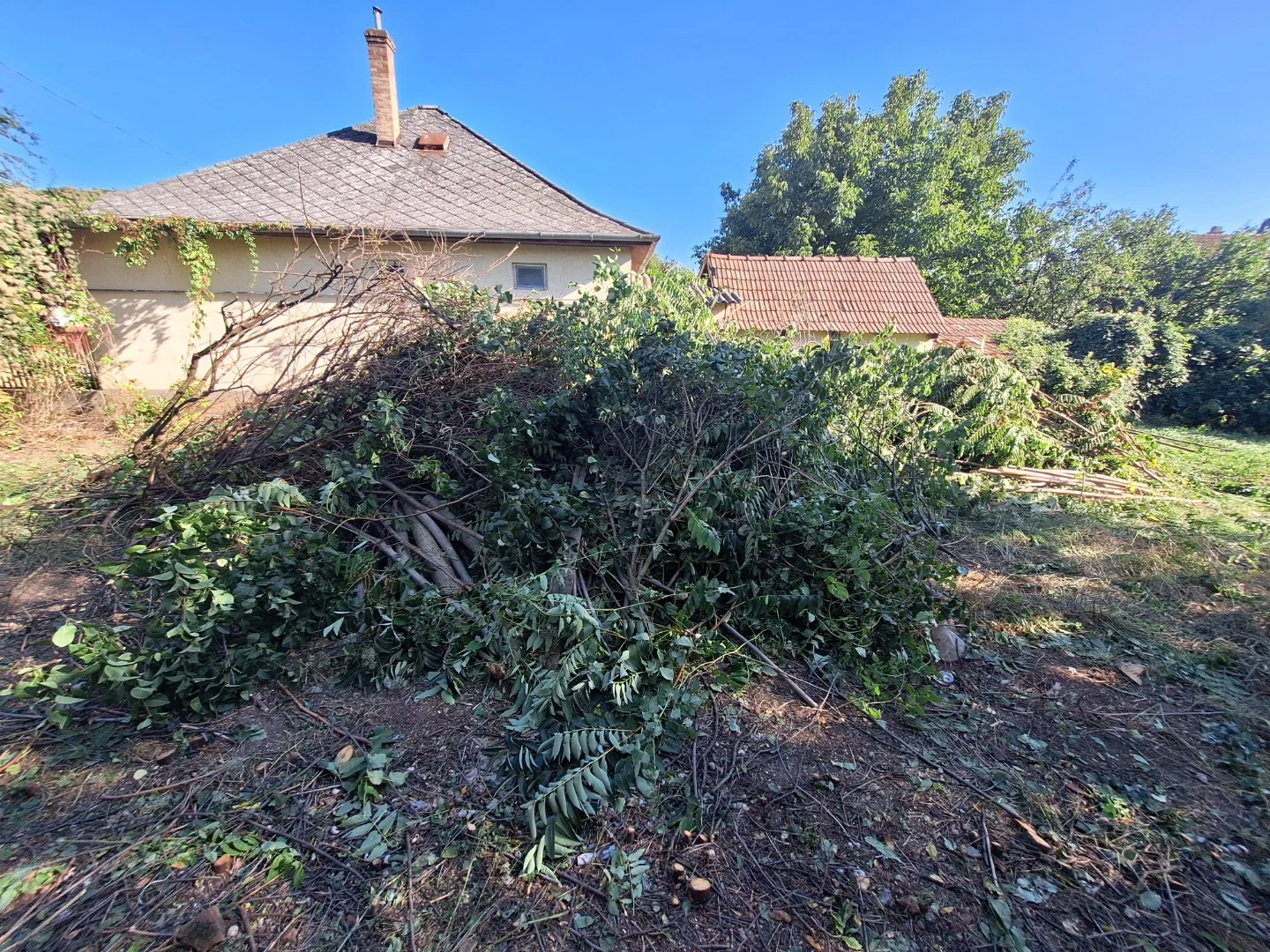 Eladó építési telek Hevesen - Kép 2