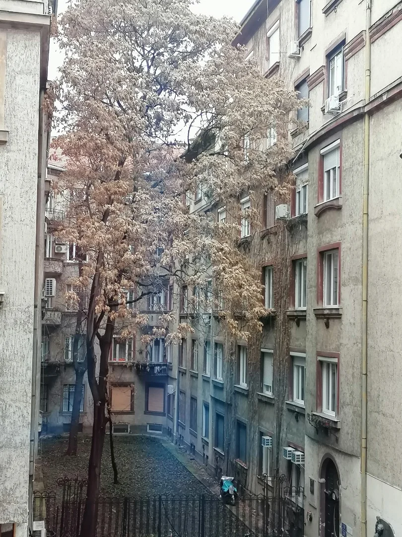 Eladó tégla lakás Budapest 11. ker.en - Kép 6