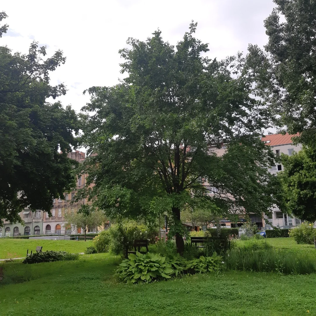 Eladó tégla lakás Budapest 08. ker.en - Kép 10