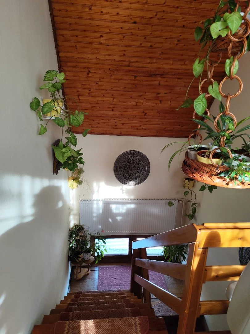 Eladó ikerház Budapest 22. ker.en - Kép 14