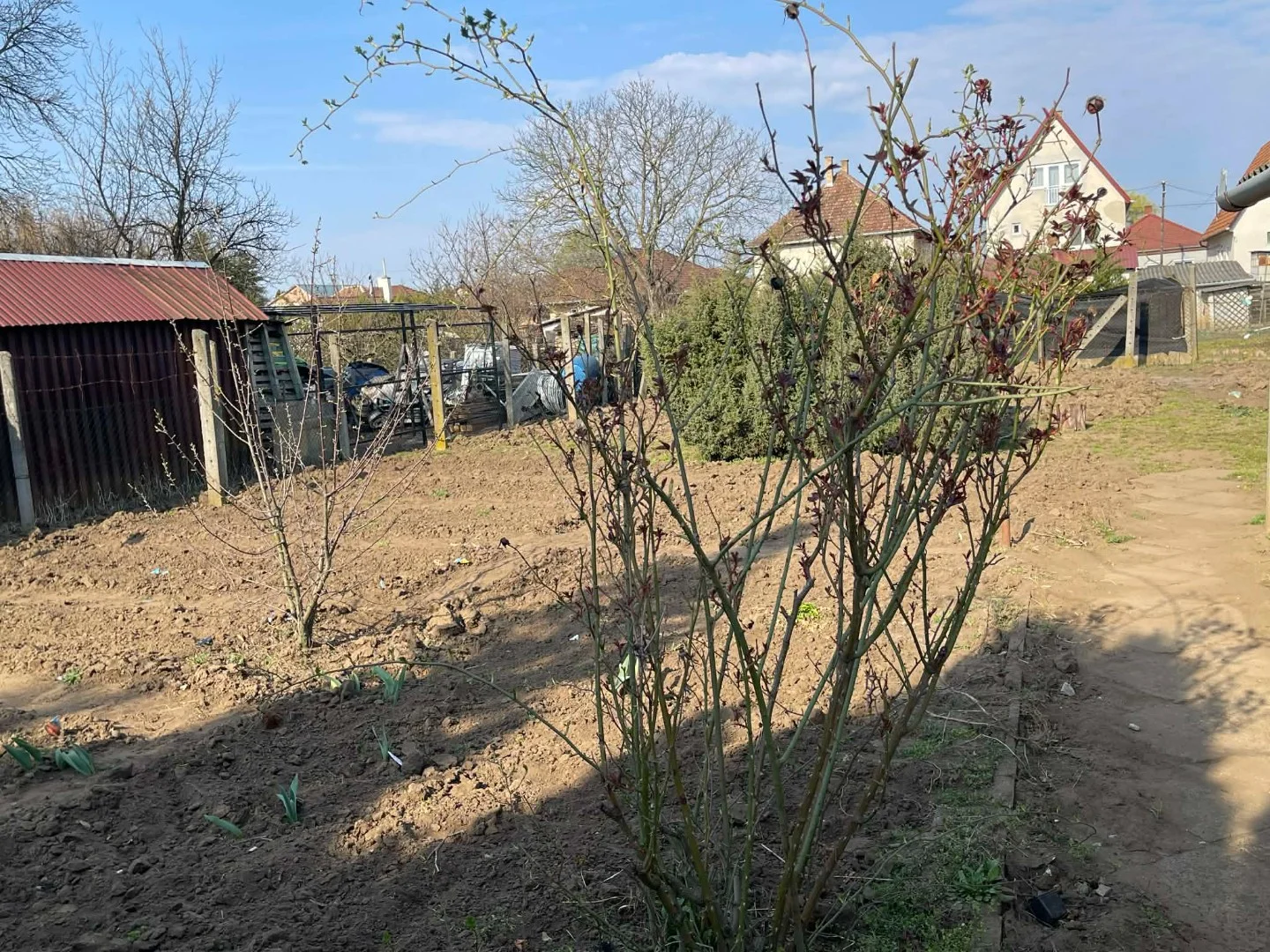 Eladó családi ház Nyírteleken - Kép 20