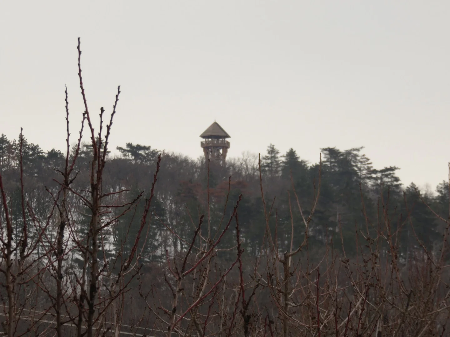 Eladó önálló nyaraló nyaraló / üdülő Felsőörsen - Kép 7