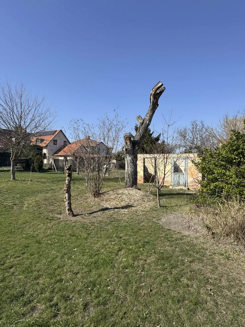 Eladó építési telek Dunakeszin - Kép 4