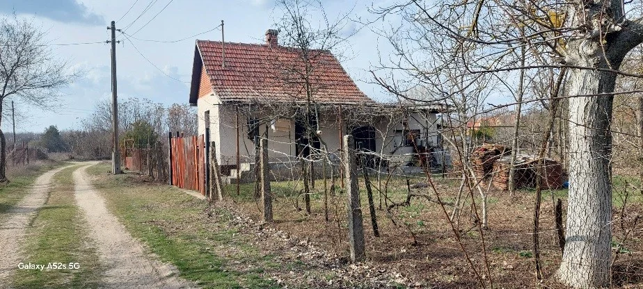 Eladó zárt kert mezőgazdaság Csemőn - Kép 3