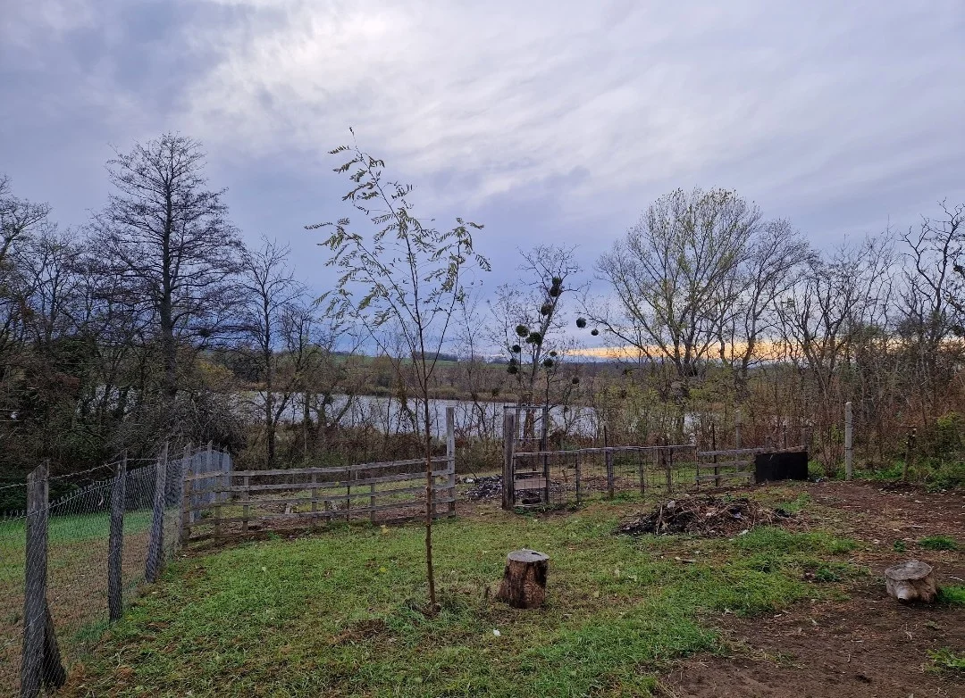 Eladó családi ház Kisbér Újszőlő - Kép 5