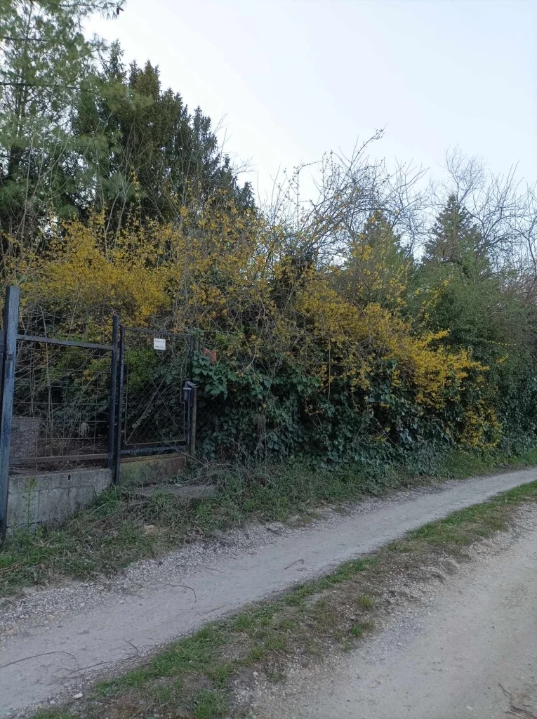 Eladó építési telek Biatorbágyon - Kép 6