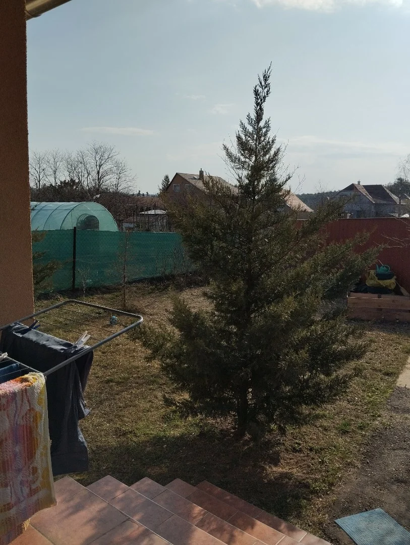 Eladó családi ház Erdőkertesen - Kép 13