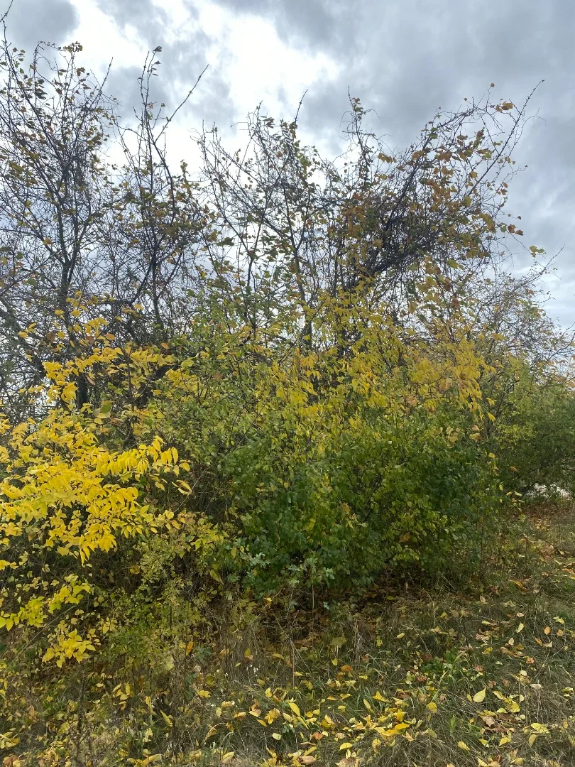 Eladó építési telek Tatan - Kép 3