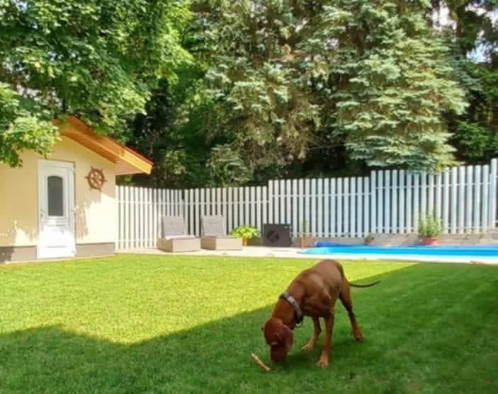 Eladó üdülőházas nyaraló / apartman nyaraló / üdülő Tatan - Kép 4