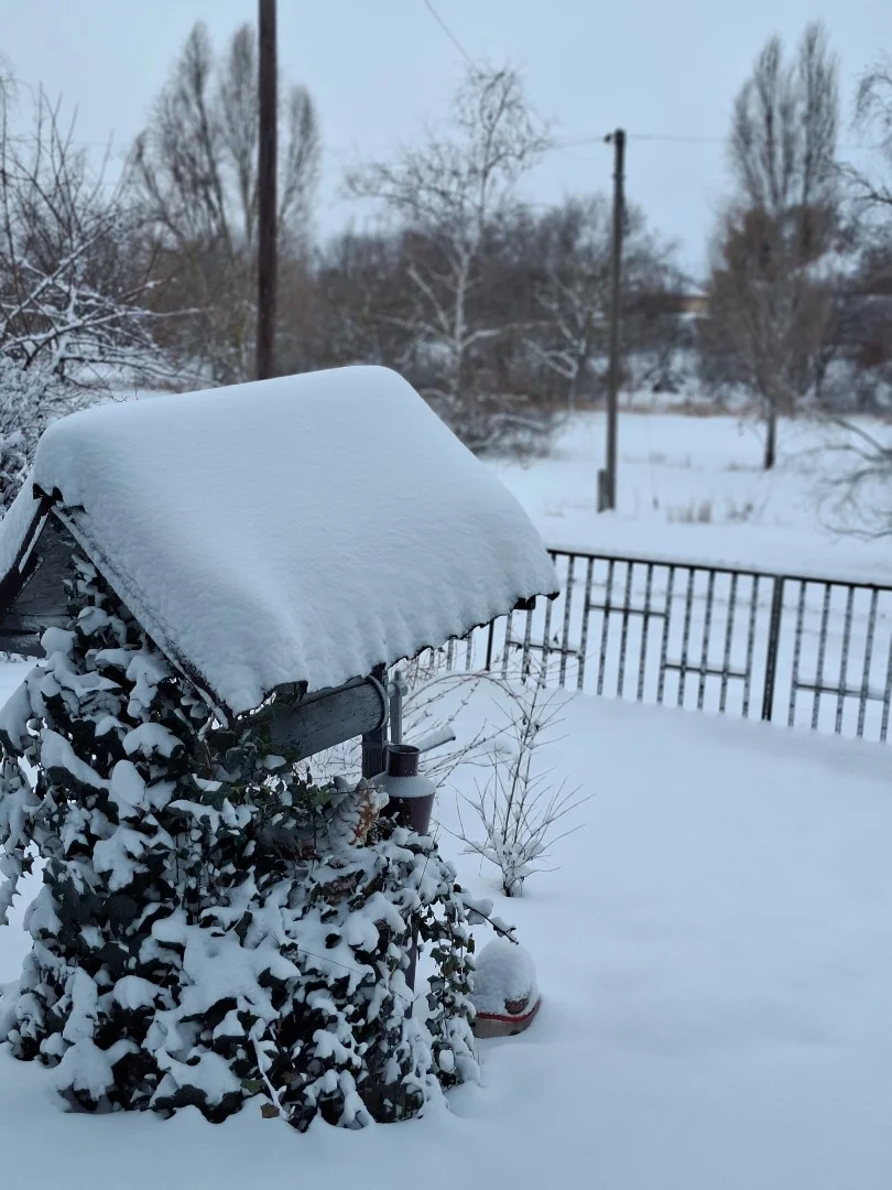 Eladó családi ház Tiszaszőlősen