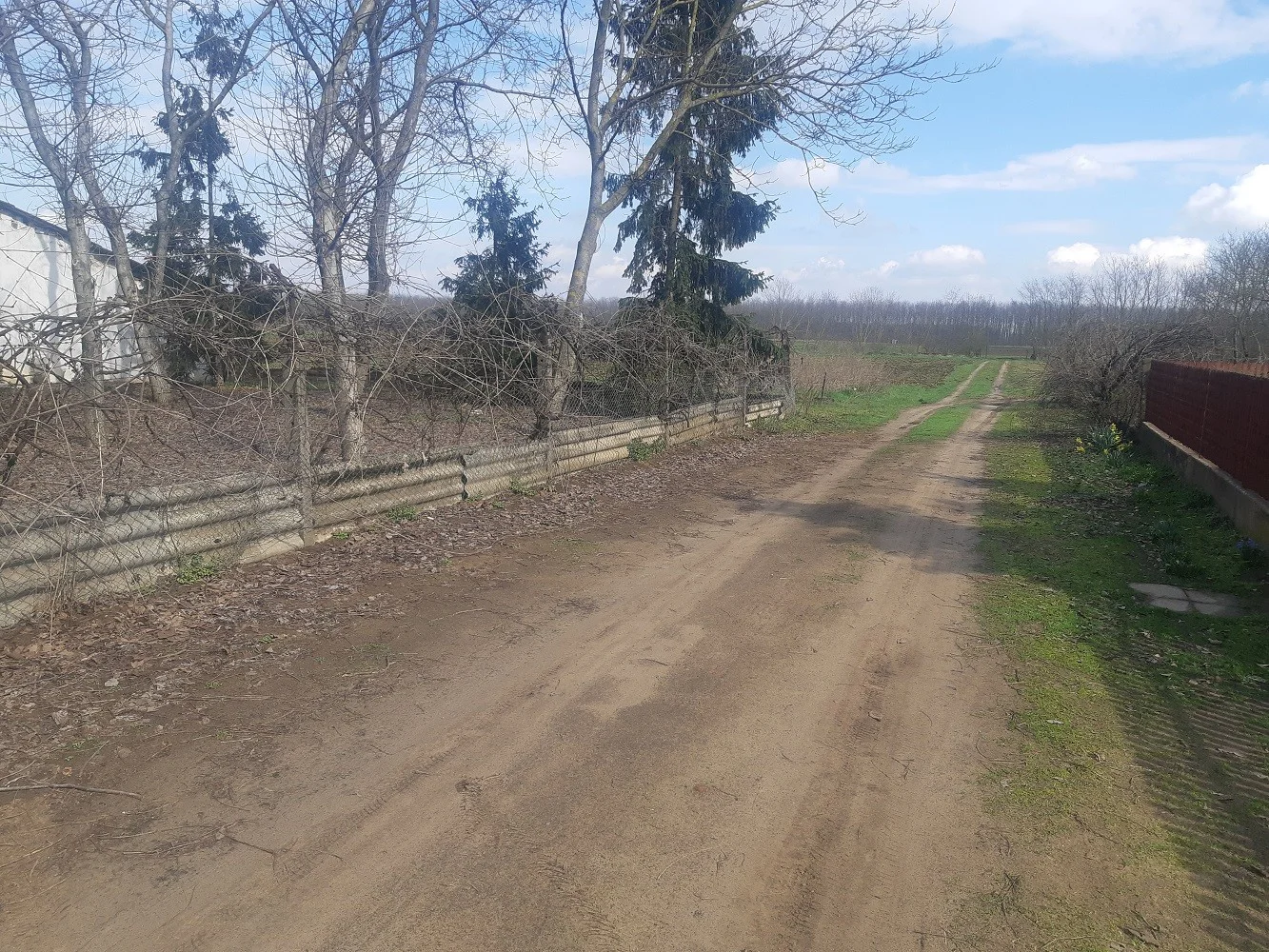 Eladó tanya mezőgazdaság Debrecenben - Kép 13