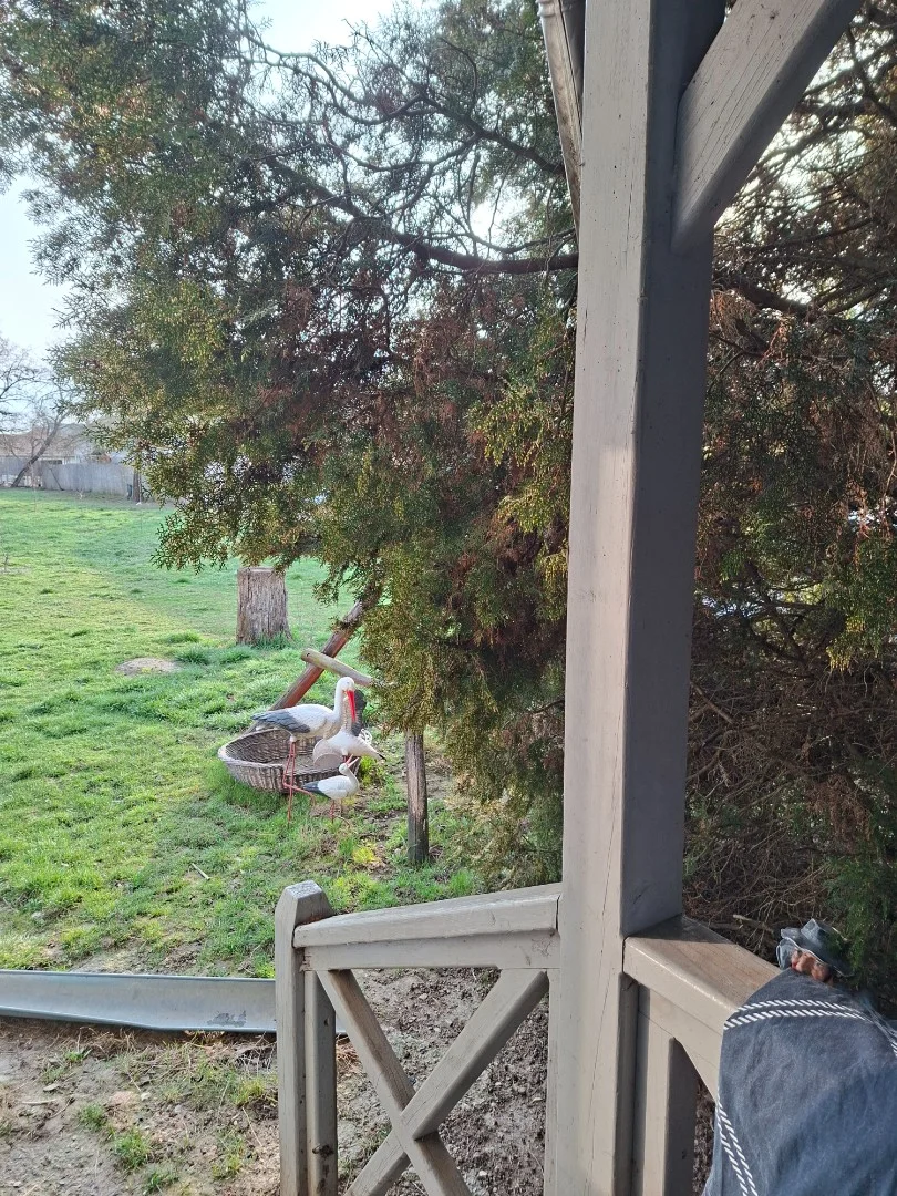 Eladó családi ház Tiszaszőlősen - Kép 7