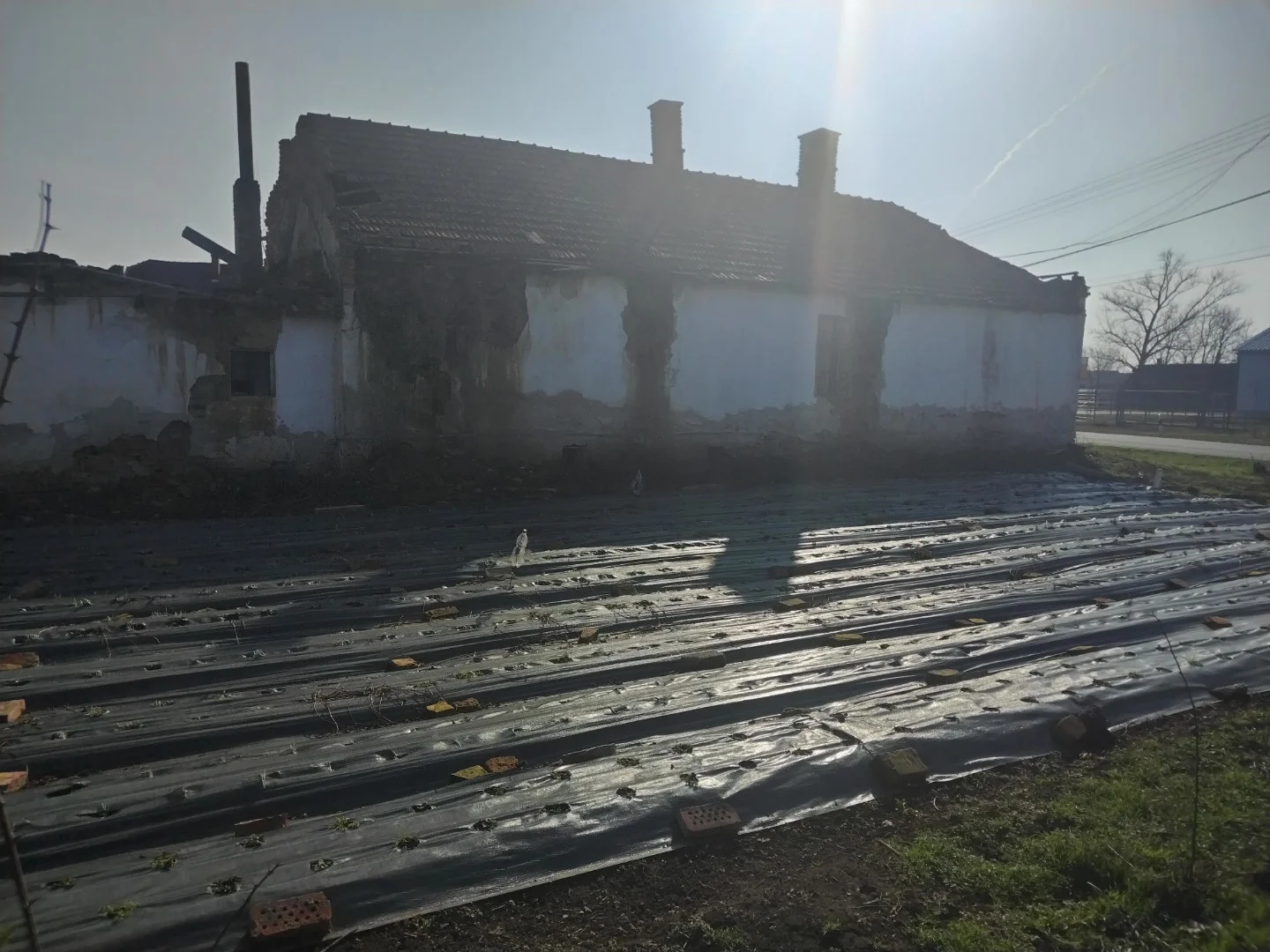 Eladó tanya mezőgazdaság Mezőberényen - Kép 10