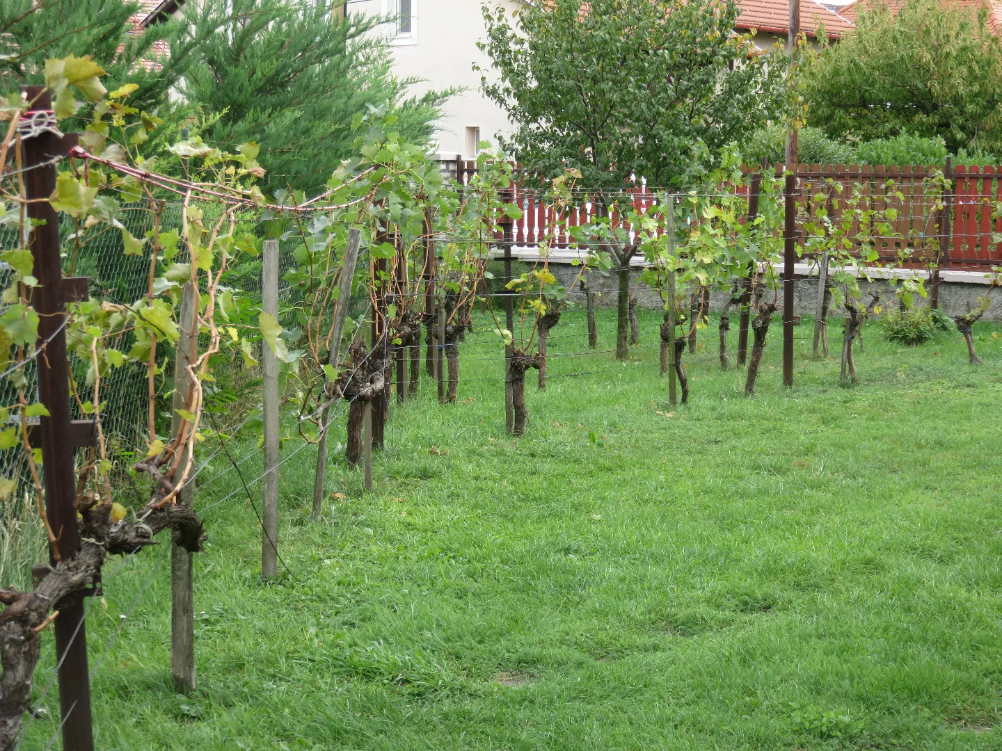 Eladó családi ház Balatonfüreden - Kép 4