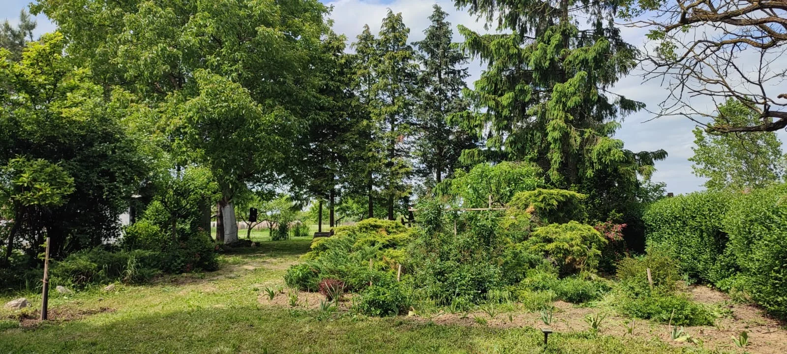 Eladó építési telek Gógánfan