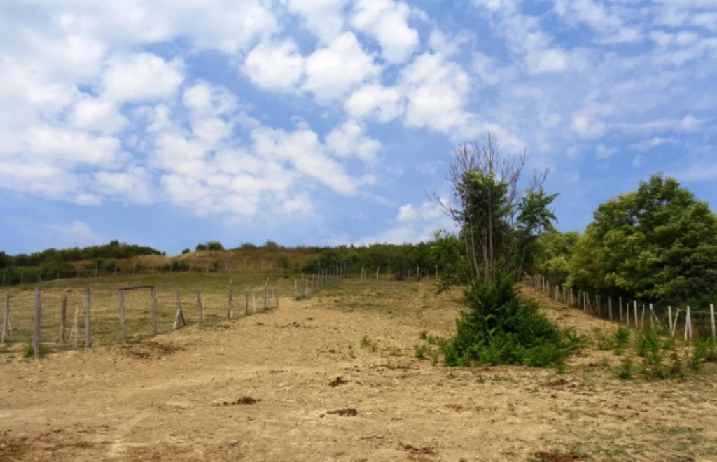 Eladó családi ház Rádon - Kép 19