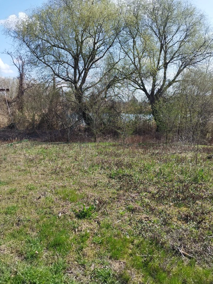 Eladó mezőgazdasági telek Szolnokon