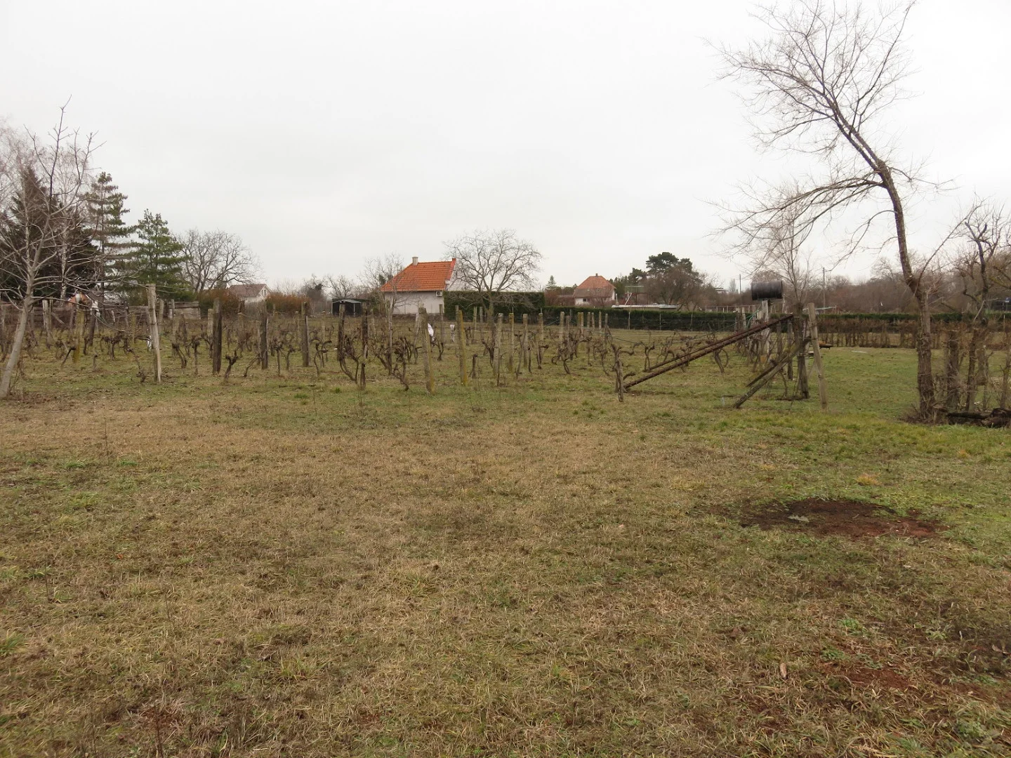 Eladó mezőgazdasági telek Balatonfüreden - Kép 3