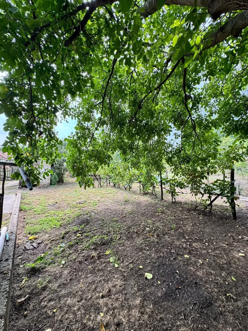 Eladó családi ház Jászszentandráson - Kép 6