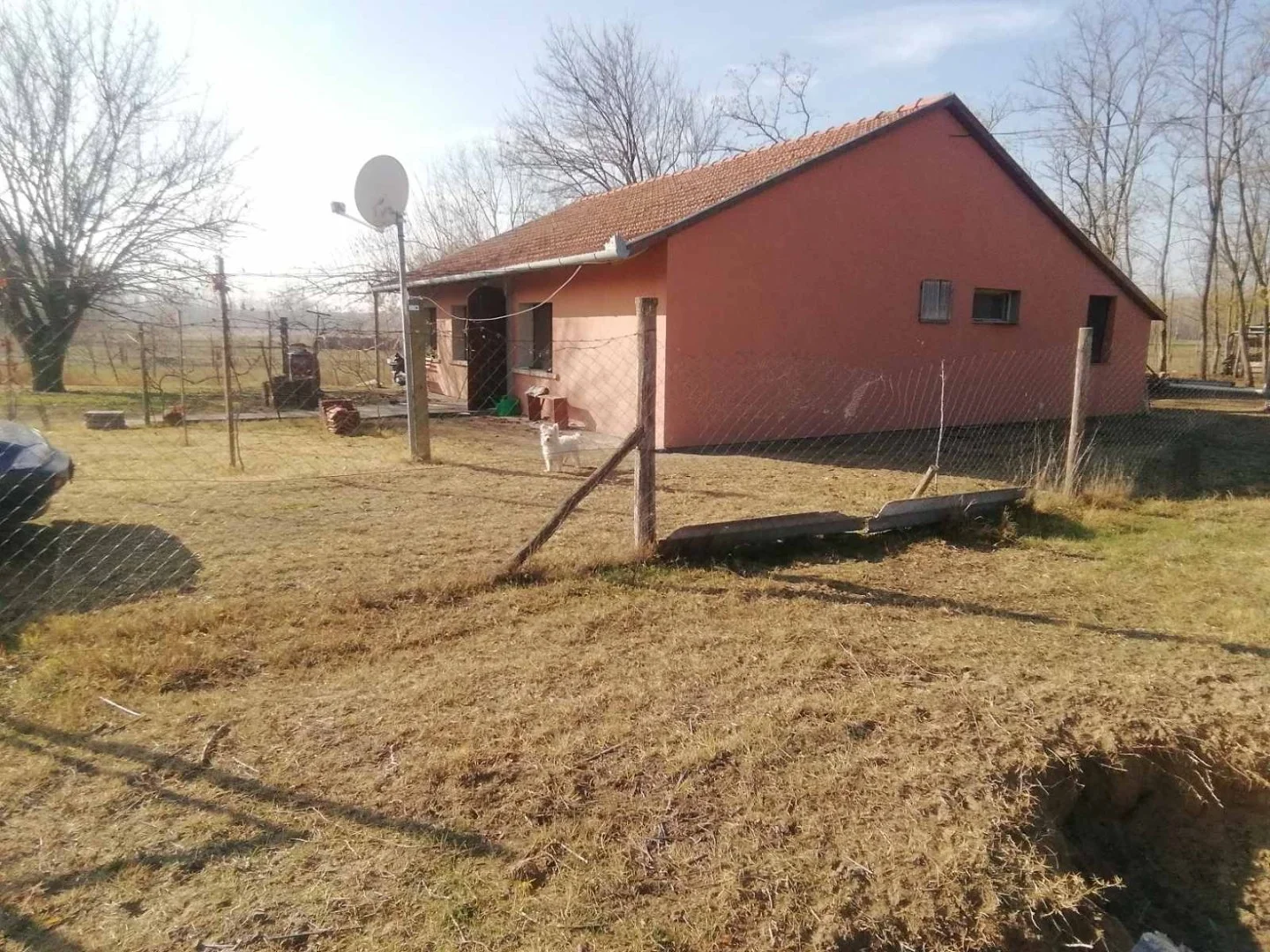 Eladó családi ház Ruzsan - Kép 16