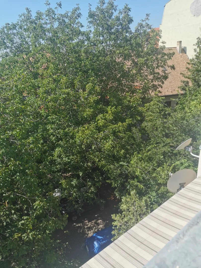 Eladó tégla lakás Pécsen - Kép 8