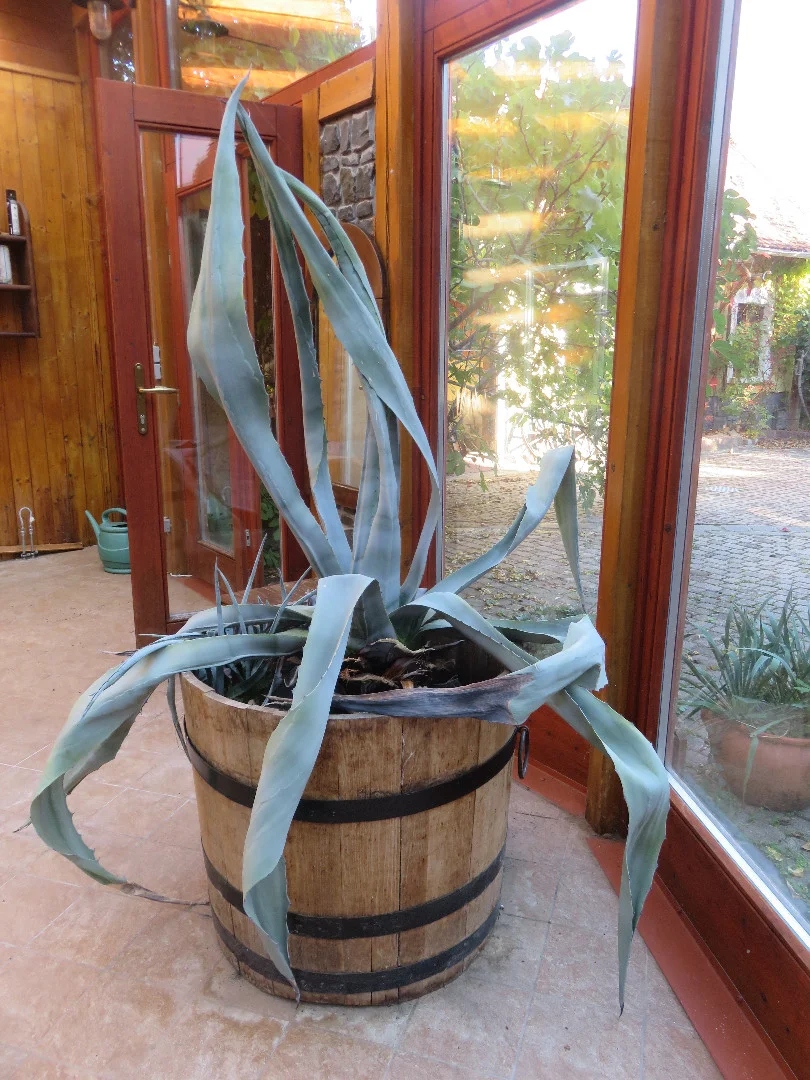 Eladó családi ház Balatonfüreden - Kép 7