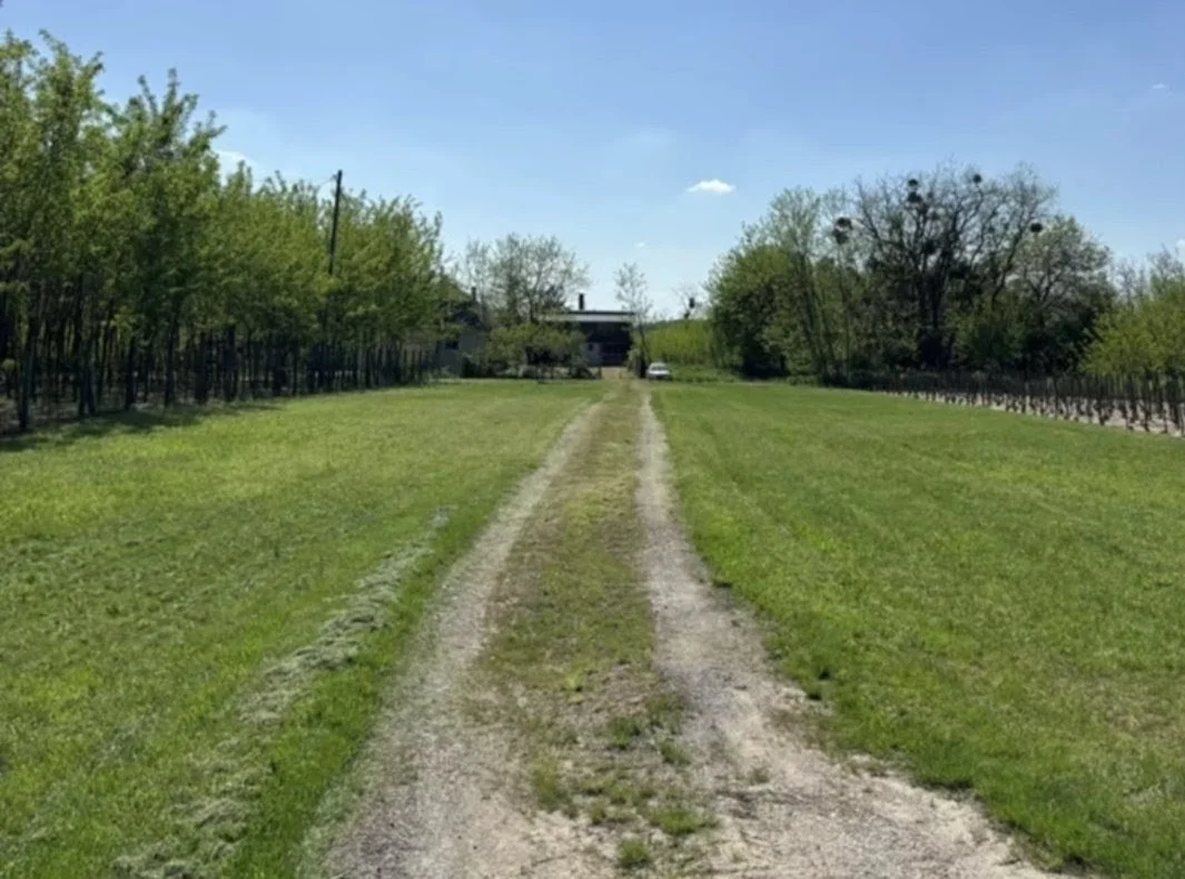 Eladó családi ház Kisbér Újszőlő - Kép 8