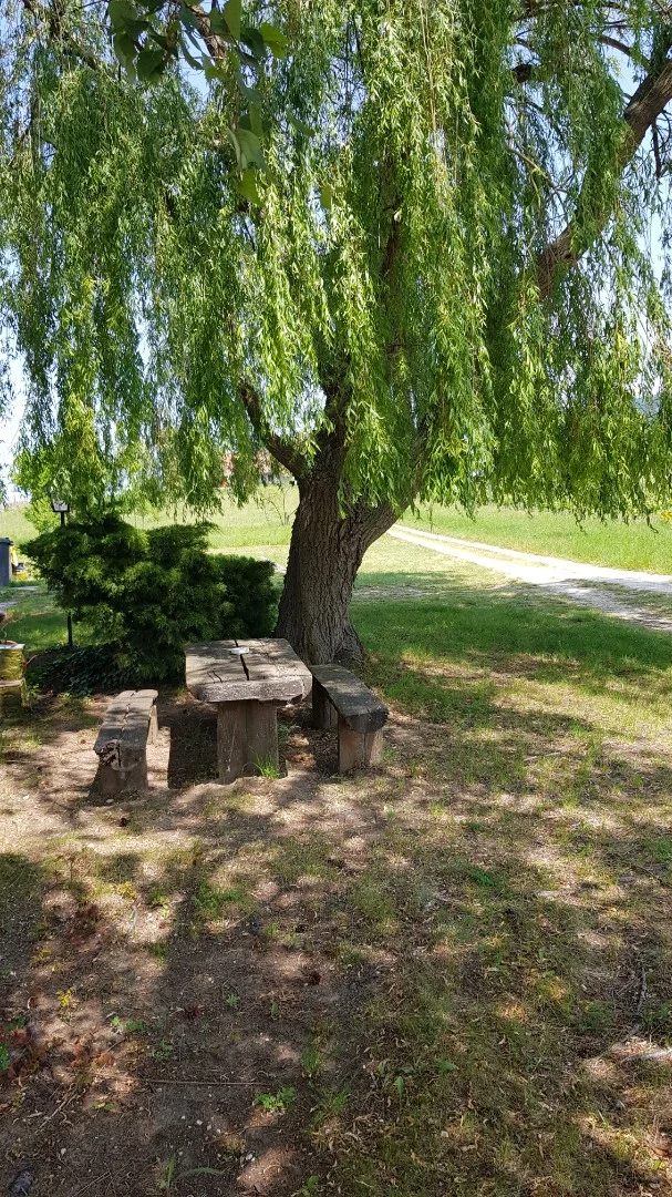 Eladó étterem, bisztró iroda / üzlet / kereskedelmi / szolgáltató Somlójenőn - Kép 3