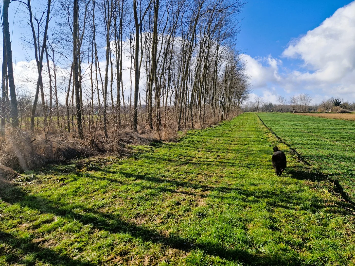 Eladó családi ház Kéthelyen - Kép 5