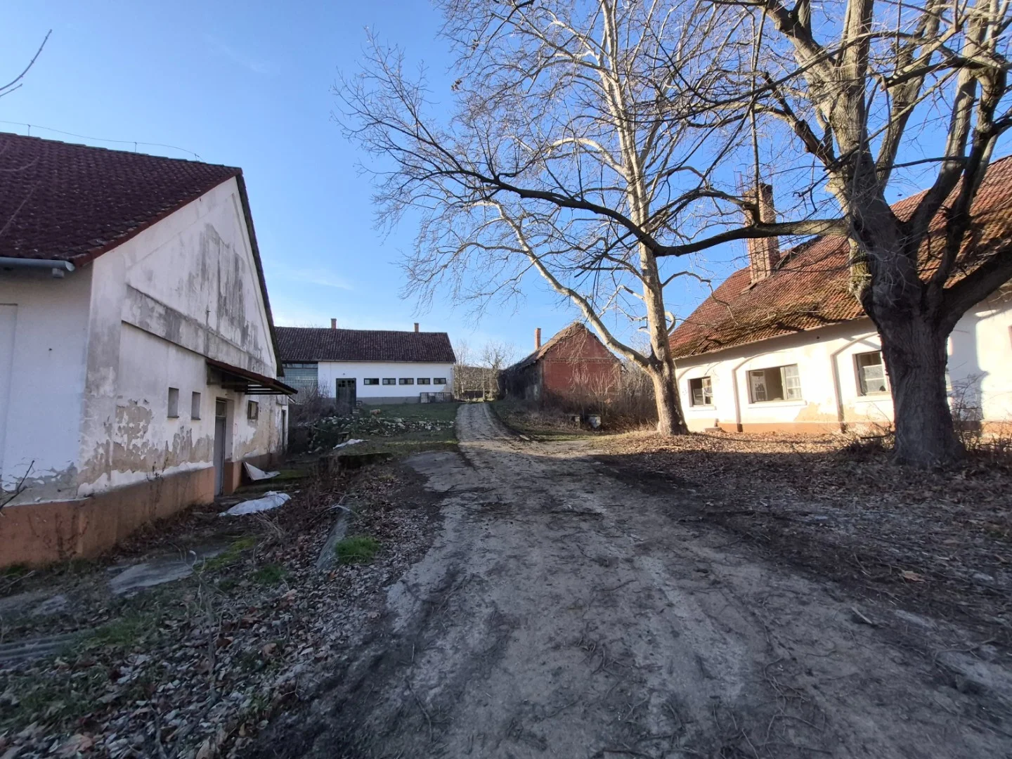 Eladó intézmény iroda / üzlet / kereskedelmi / szolgáltató Bakócan - Kép 15