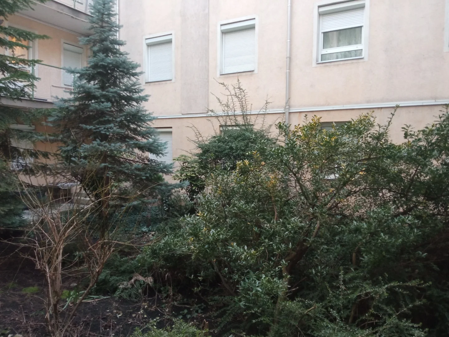 Eladó tégla lakás Budapest 10. ker.en - Kép 10