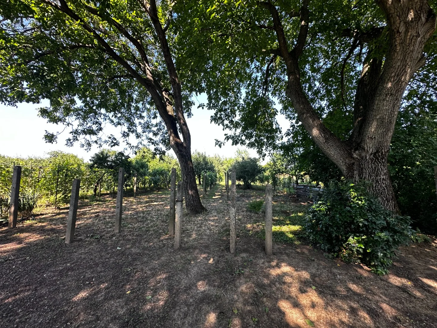 Eladó családi ház Pécsen - Kép 17