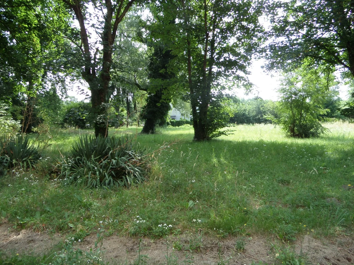 Eladó iroda iroda / üzlet / kereskedelmi / szolgáltató Darányon - Kép 7