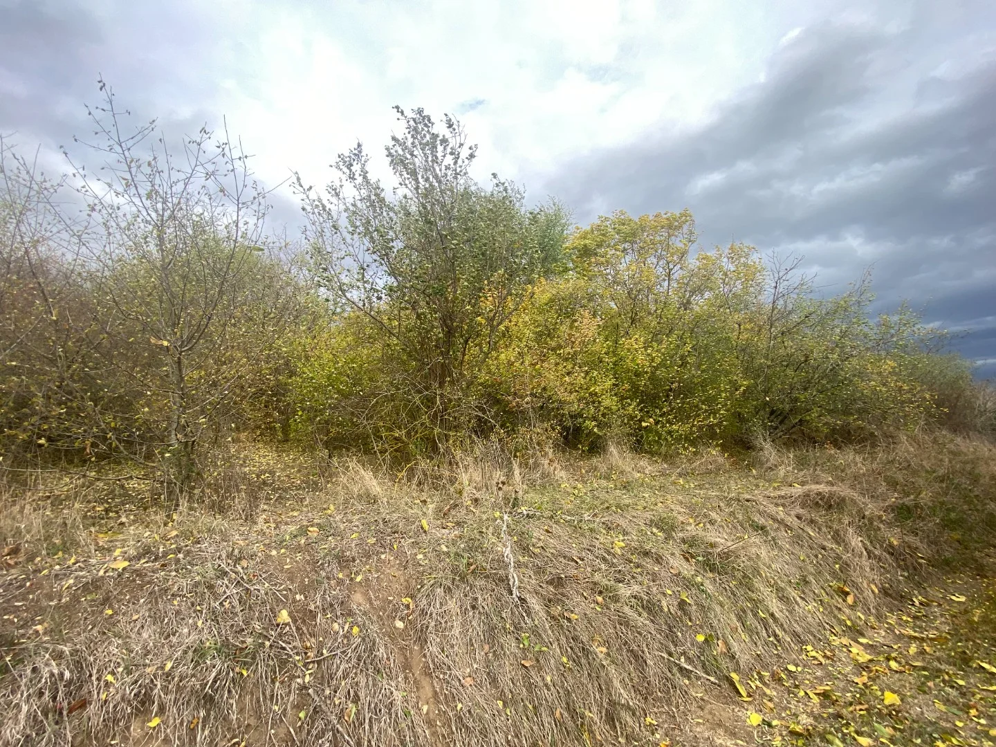 Eladó építési telek Tatan - Kép 4