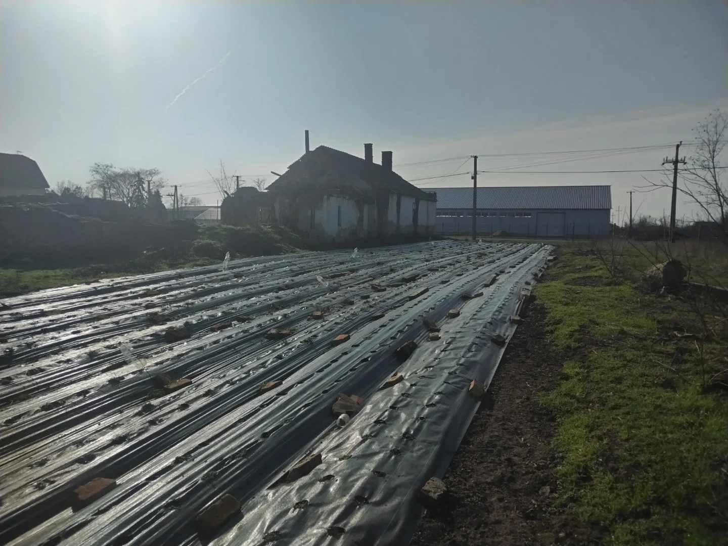 Eladó tanya mezőgazdaság Mezőberényen - Kép 15