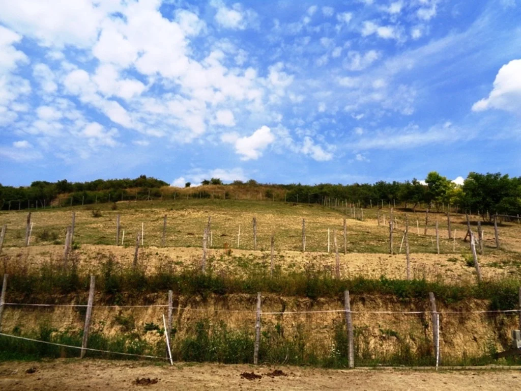 Eladó családi ház Rádon - Kép 18