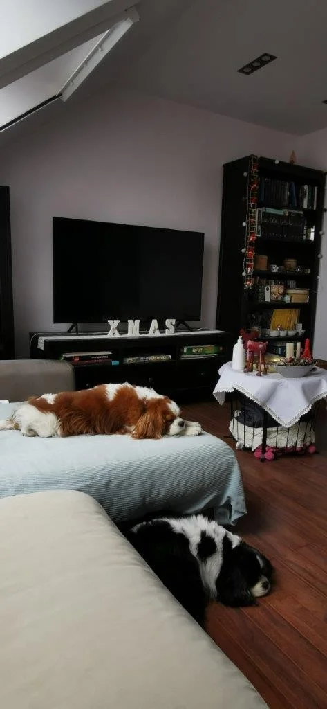 Eladó tégla lakás Székesfehérváron - Kép 11